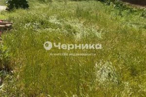 Продам земельный участок, на улице Ленина, г. Каменск-Шахтинский, Ростовская обл., Россия, агентство АН Черника Продам земельный участок, на улице Ленина, г. Каменск-Шахтинский, Ростовская обл., Россия, агентство АН Черника