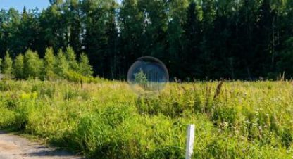 Купить земельный участок, Россия, г. Пок дарьино южное тер. Фотография №9