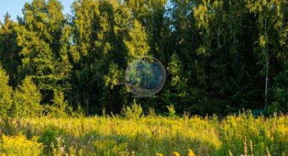 Купить земельный участок, Россия, г. Пок дарьино южное тер. Фотография №10