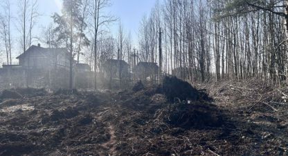 Продаётся земельный участок в г. Озерки(первомайская). Фотография №6