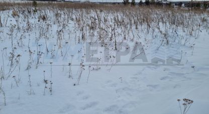 Купить земельный участок в г. Ключи. Фотография №3 Купить земельный участок в г. Ключи. Фотография №3