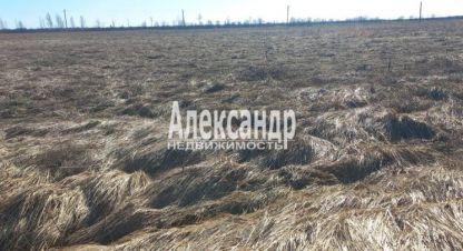 Купить земельный участок на улице Новгородская г. Пуговкино. Фотография №4 Купить земельный участок на улице Новгородская г. Пуговкино. Фотография №4