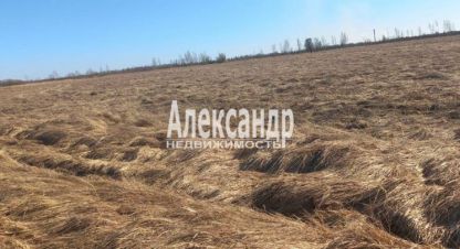 Купить земельный участок на улице Новгородская г. Пуговкино. Фотография №5 Купить земельный участок на улице Новгородская г. Пуговкино. Фотография №5