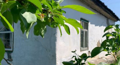 Купить дом в г. Курган. Фотография №3 Купить дом в г. Курган. Фотография №3