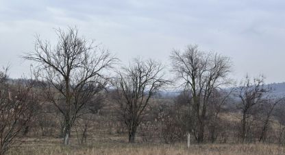 Купить земельный участок в г. Не выбрано. Фотография №2 Купить земельный участок в г. Не выбрано. Фотография №2