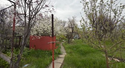 Купить 2-х комнатную коттедж/дачу на улице Снт восход 21 линия г. Волгоград. Фотография №4 Купить 2-х комнатную коттедж/дачу на улице Снт восход 21 линия г. Волгоград. Фотография №4