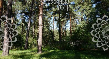 Купить дом 5-ти комнатную, 729 кв. м. Фотография №9 Купить дом 5-ти комнатную, 729 кв. м., Россия, г. Малаховка. Фотография №9