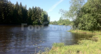 Купить земельный участок в г. Садовое некоммерческое товарищество елена. Фотография №2