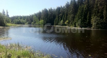 Продам земельный участок, г. Садовое некоммерческое товарищество елена, Тверская обл., Россия, агентство ГорОбмен. Фотография №1