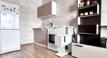 Купить квартиру в г. Мурино. Фотография №2 Купить квартиру в г. Мурино. Фотография №2