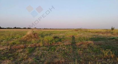 Купить земельный участок в г. Тлюстенхабль. Фотография №2
