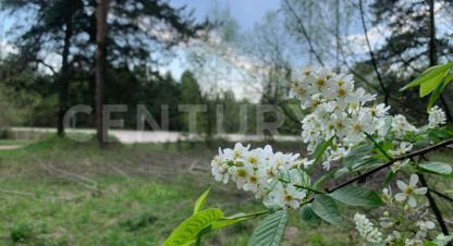 Купить земельный участок, Россия, г. Ратманово д. Фотография №8
