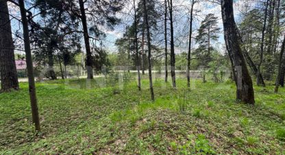 Купить земельный участок в г. Ратманово д. Фотография №3
