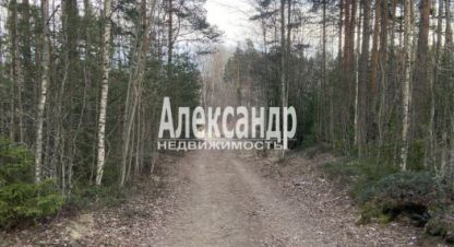 Купить земельный участок на улице Ленинградская выбормалиновый проезд г. Выборг. Фотография №5 Купить земельный участок на улице Ленинградская выбормалиновый проезд г. Выборг. Фотография №5