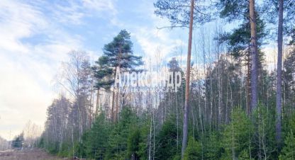 Купить земельный участок в г. Выборг. Фотография №3 Купить земельный участок в г. Выборг. Фотография №3