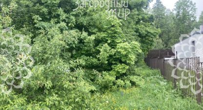 Купить земельный участок. Фотография №9 Купить земельный участок, Россия, г. Мураново. Фотография №9