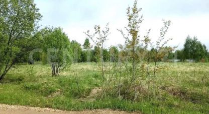 Купить земельный участок на улице Осенняя г. Коллонтай с. Фотография №4