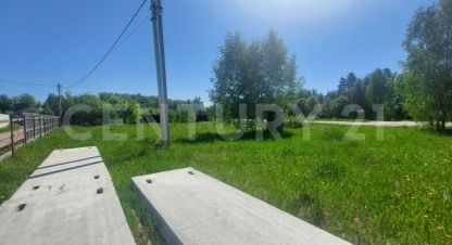 Купить земельный участок, Россия, г. Кривское тер снт. Фотография №9