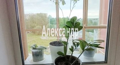 Купить квартиру, 27.3 кв. м. Фотография №9 Купить квартиру, 27.3 кв. м., Россия, г. Мурино. Фотография №9